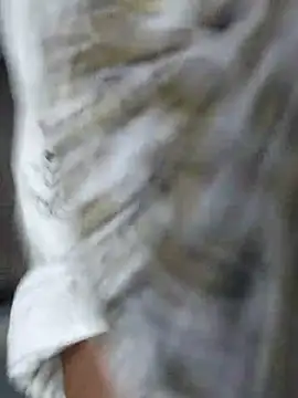 Hairy Stripchat Cam
