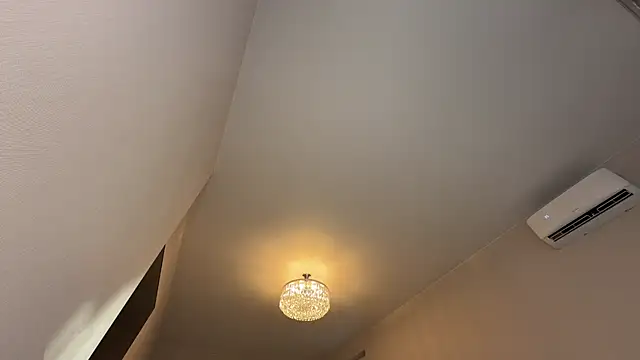 Elara__ webcam