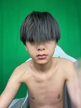 DD-101 webcam