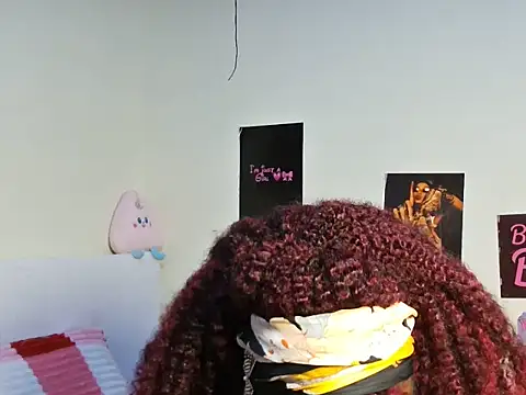 Aria_ah webcam