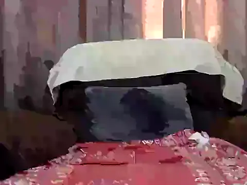 largepanny