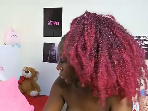 Aria_ah webcam