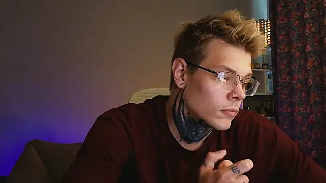 DENIS_HERE webcam