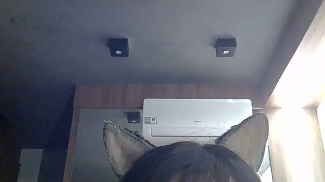 SkinnyKitten webcam