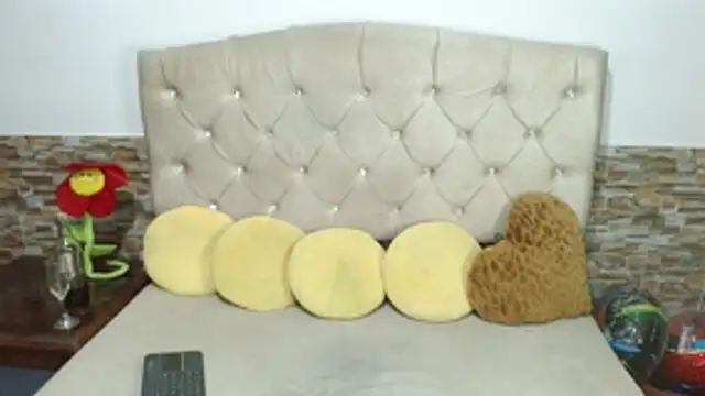 Adafield_ webcam