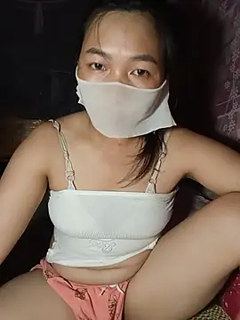 Hiha-nn webcam