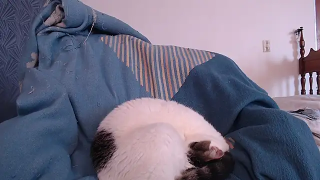 Freyja_eter webcam