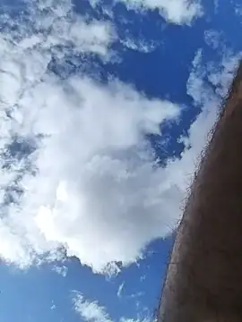 Peperoso777