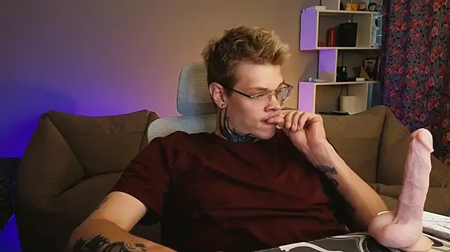 DENIS_HERE webcam
