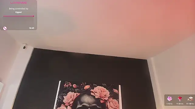 EvaaFoxxy1 webcam