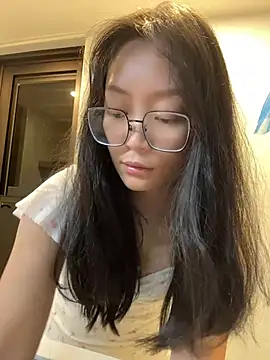 wt0314 webcam