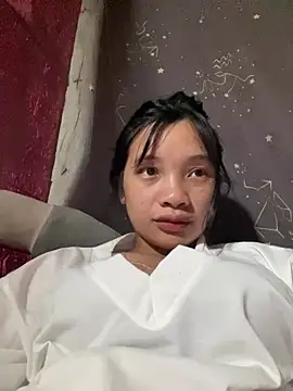 Xiuxiu-zz webcam