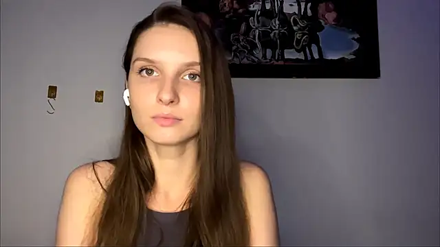 VanMendrin webcam