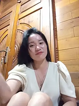 Td3di webcam