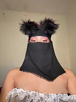 arabayla webcam