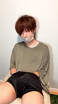 JPTopModel webcam