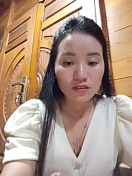 Td3di webcam