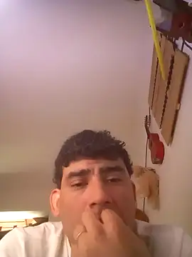 wa379 webcam
