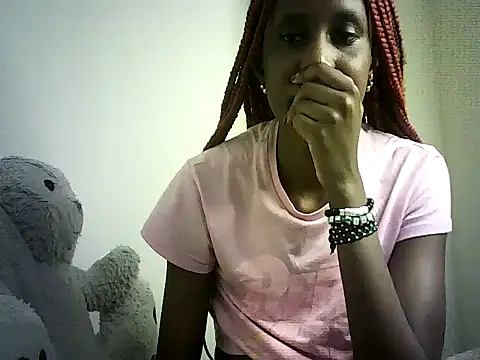 DelteAfriq webcam