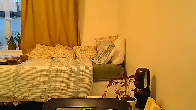 belgianshantie webcam