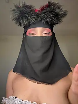 arabayla webcam