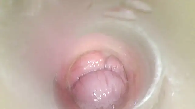 karol_stom webcam