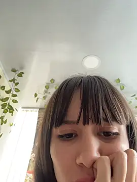 reaLISStic webcam