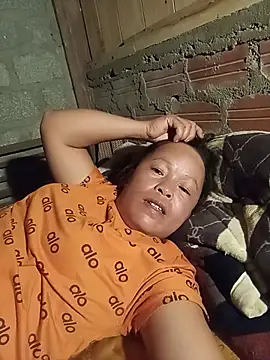 Ip34 webcam