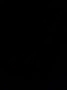 1000pordia webcam