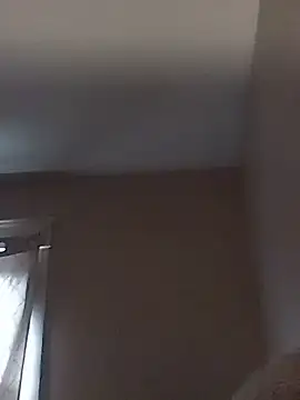 BuirdlyVerse webcam