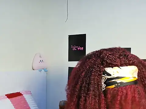 Aria_ah webcam
