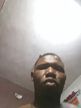 CDN2283 webcam