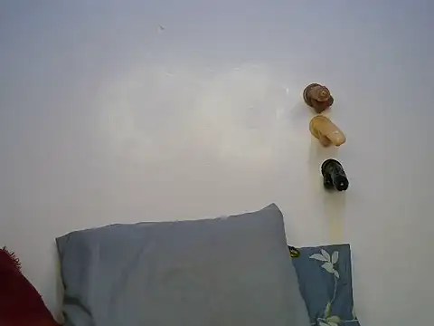 sexylushlila webcam