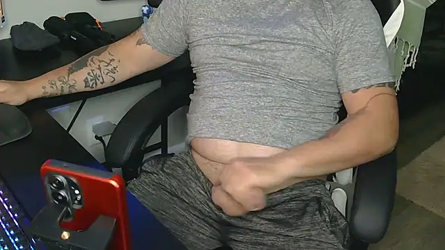 birtol webcam