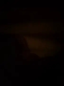 Profano333