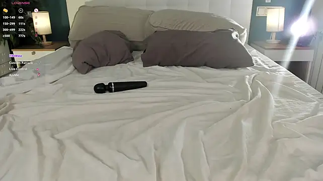 HollisHearl webcam