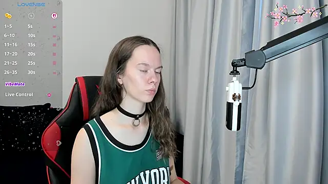 Vulgar_Tamer