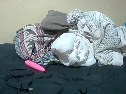 Offchart webcam