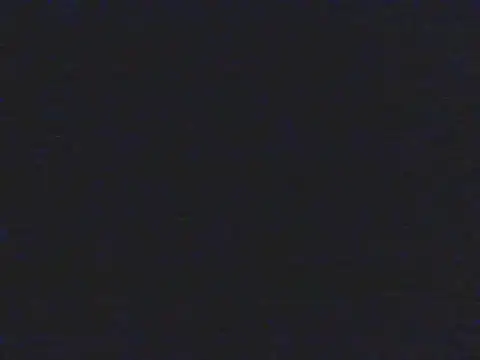 shugabaibe webcam