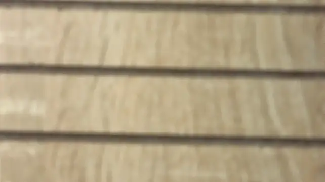 NoFace_Model webcam
