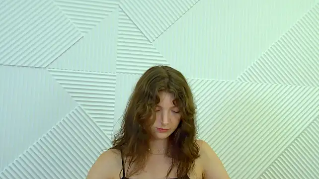 SophiaProve webcam