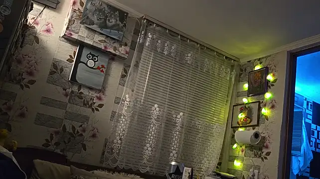 Vuitton webcam