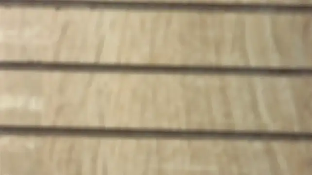 NoFace_Model webcam