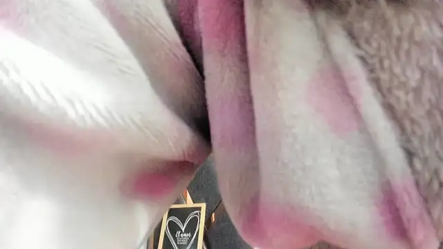 Maggyx webcam
