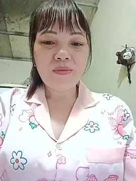 Sana-vn webcam