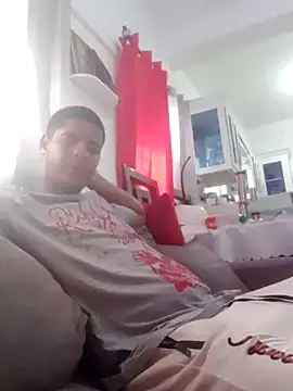 Mithckey webcam