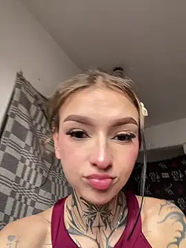 dulce-katt