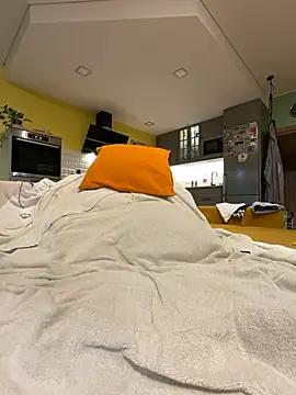 smint06 webcam