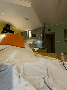 smint06 webcam
