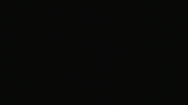 alpha-hunk webcam